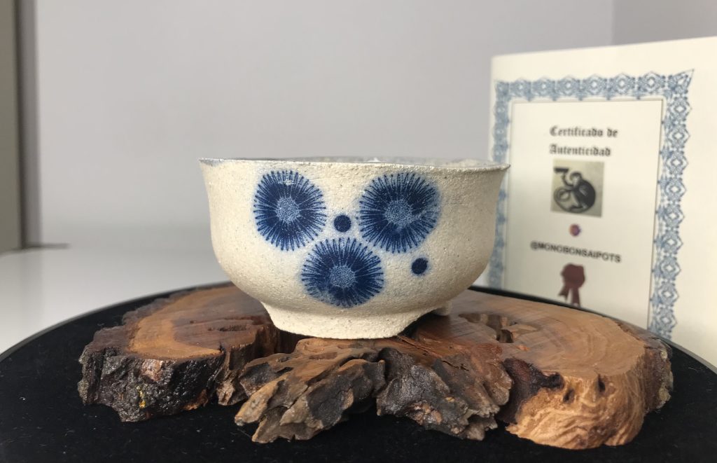 Maceta de acento para bonsai Ref 3