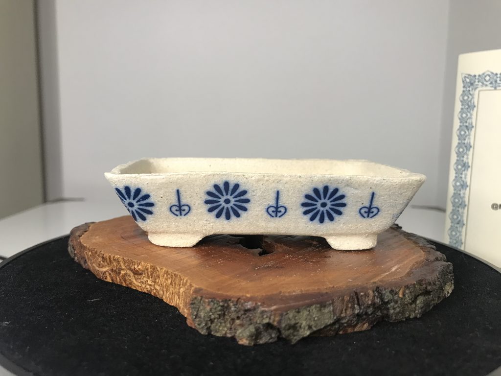 Maceta de acento para bonsai