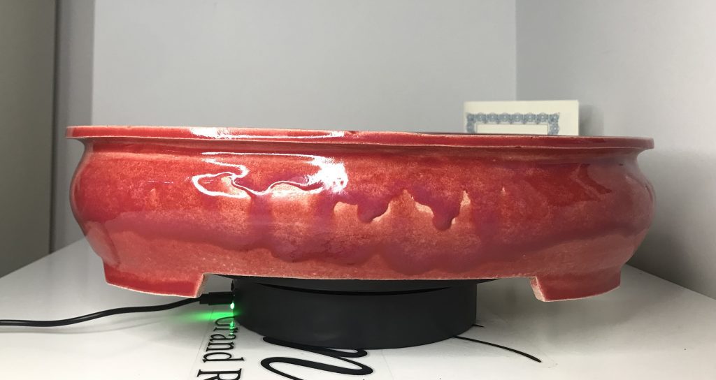 Maceta para bonsai ovalada