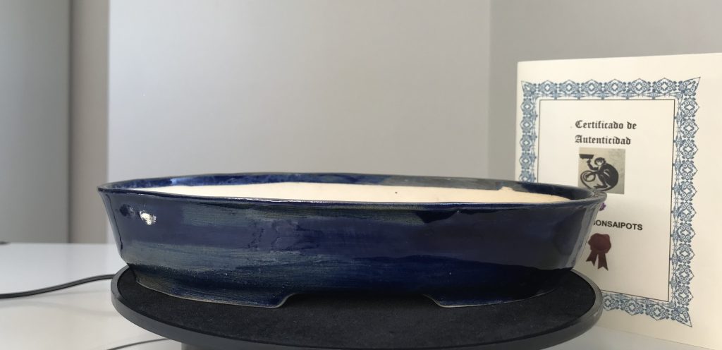 Maceta para bonsai ovalada