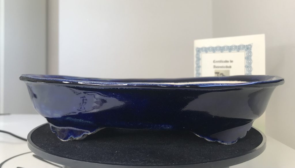 Maceta para bonsai ovalada