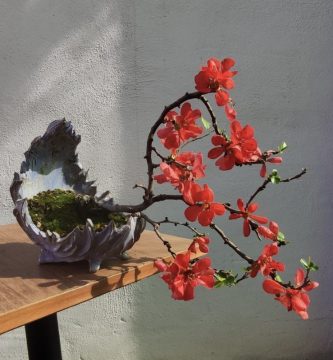 Kurama Monobonsapots