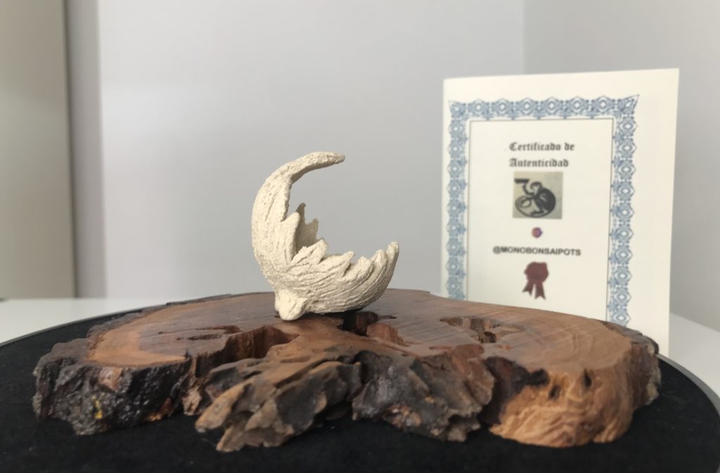 Maceta de acento para bonsai Ref. 17