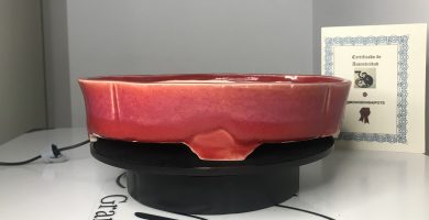 Maceta ovalada Ref 191