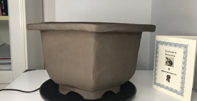 Maceta hexagonal Ref. 206