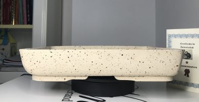 Maceta de autor rectangular Ref. 203