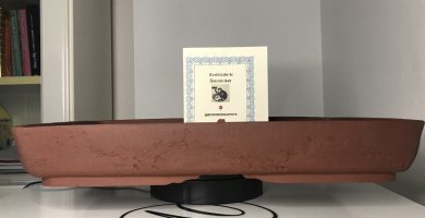 Maceta de autor rectangular Ref. 200